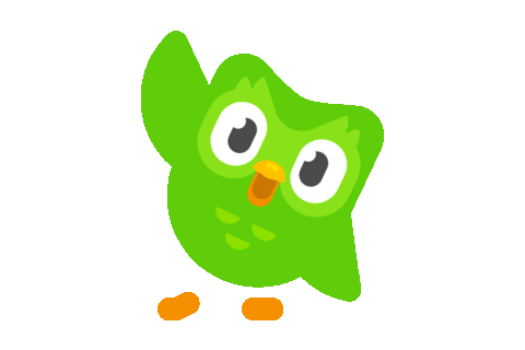 Duo Llowye_Shop