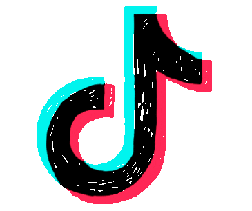 TikTok Llowye_Shop